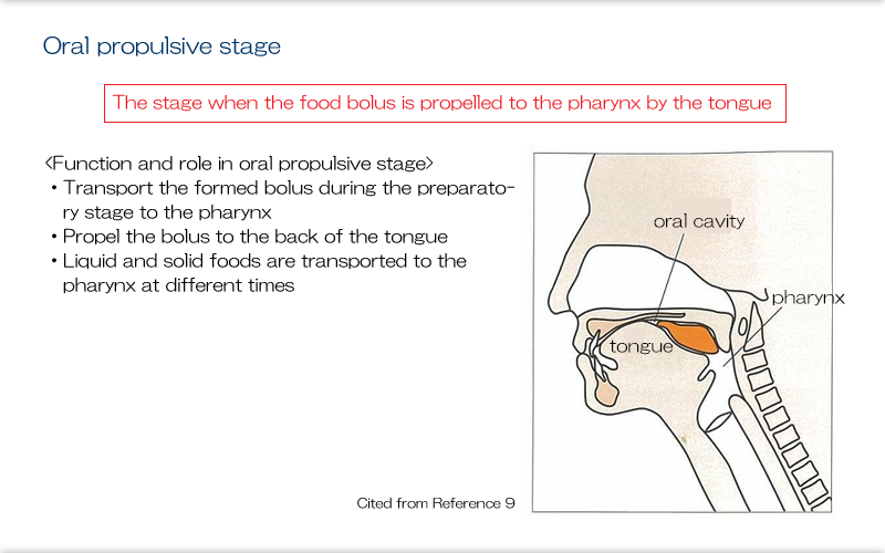 6.Disorders of Each Stage of Swallowing