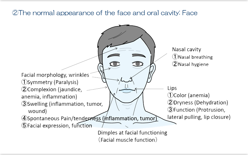 36.Examining Teeth, Dentures, and Oral Mucosa