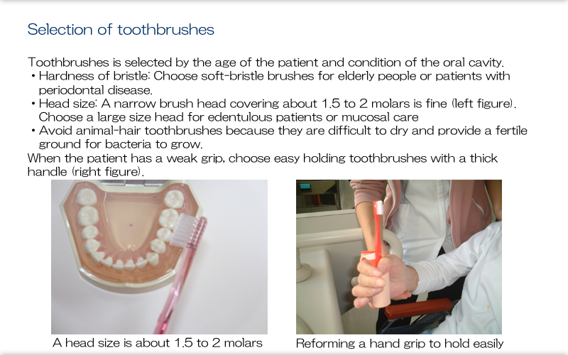 38.Oral Care Preparations, Teeth Cleaning, and Equipment and Chemicals